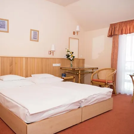 Termálhotel Martfů