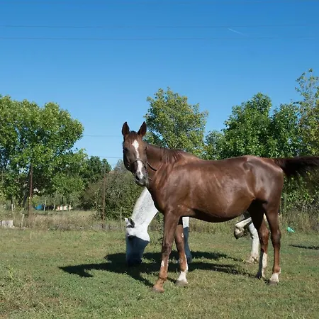 Szálloda Thermal 3*