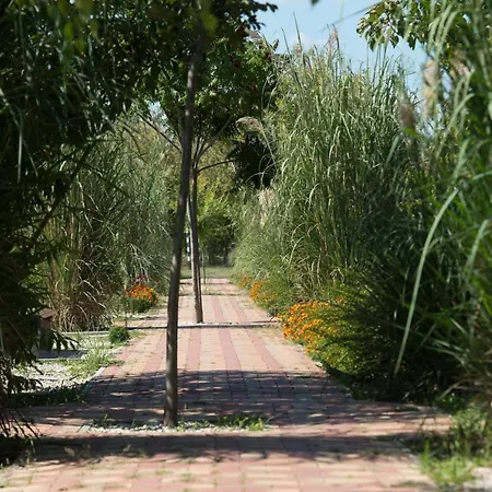 Szálloda Thermal 3*