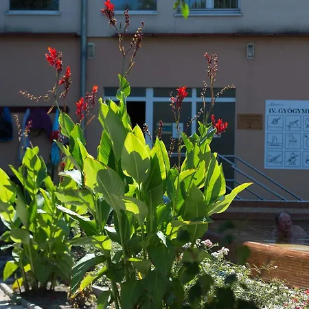 Termálhotel Hotel