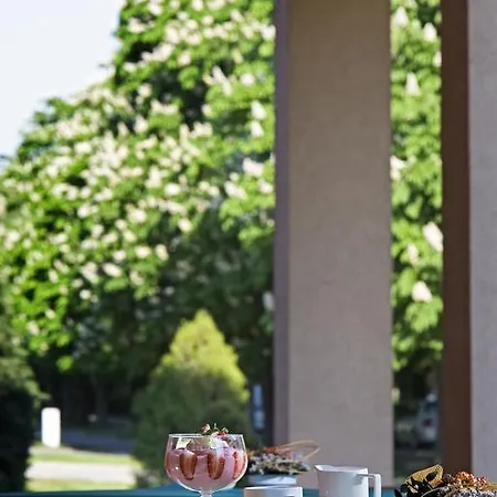 Hotel Thermal Martfů